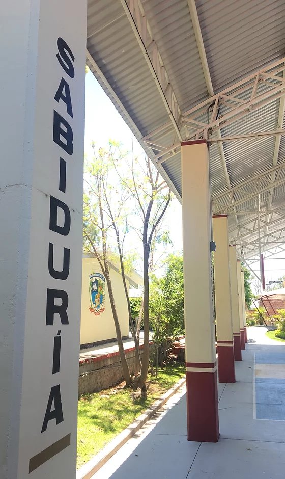 eneju misión y visión